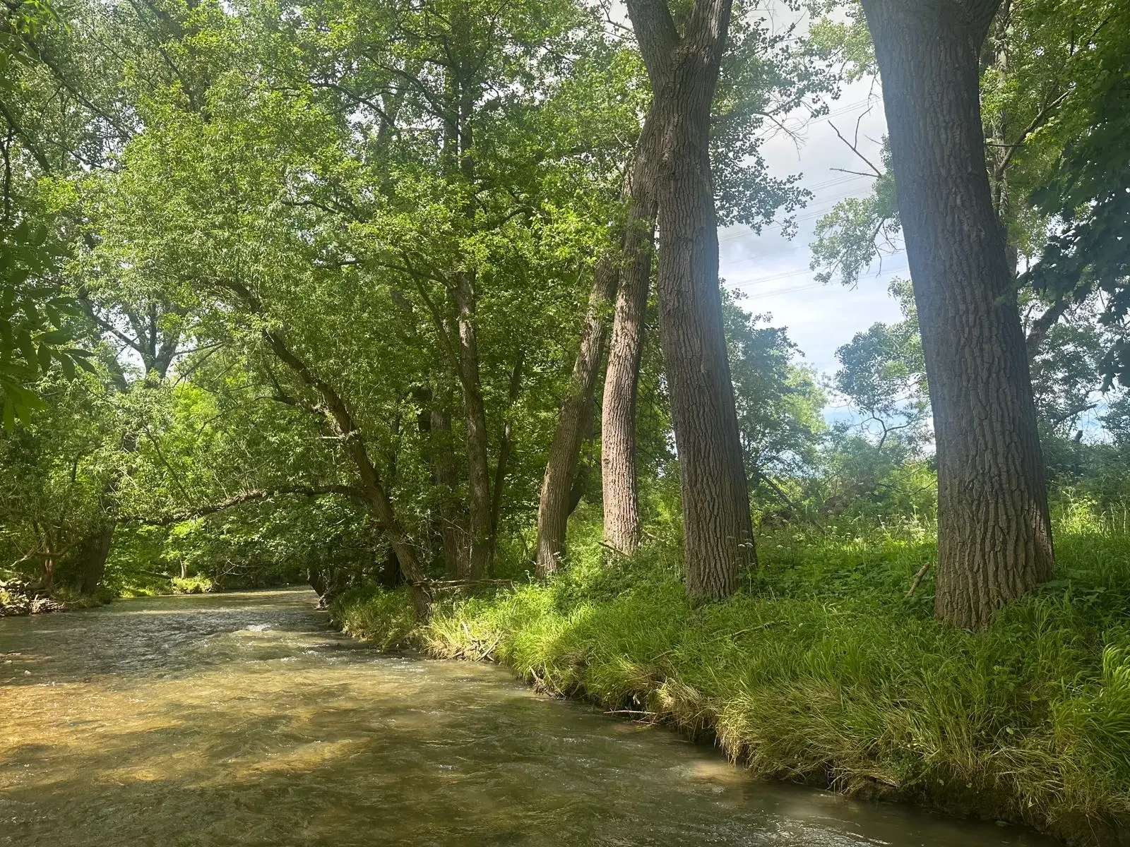 Ruim perceel van 5.550 m2 gelegen aan de rivier Gera - Erfurt OT Molsdorf - Duitsland