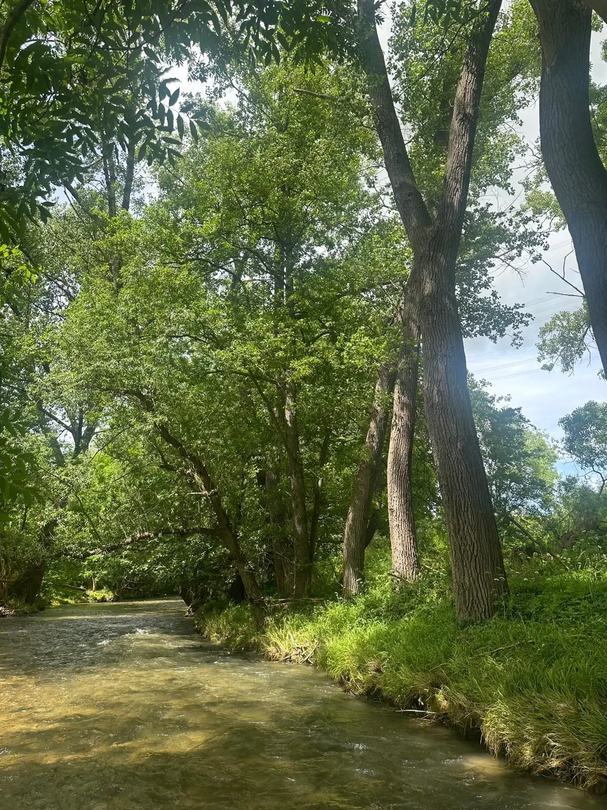 Ruim perceel van 5.550 m2 gelegen aan de rivier Gera - Erfurt OT Molsdorf - Duitsland
