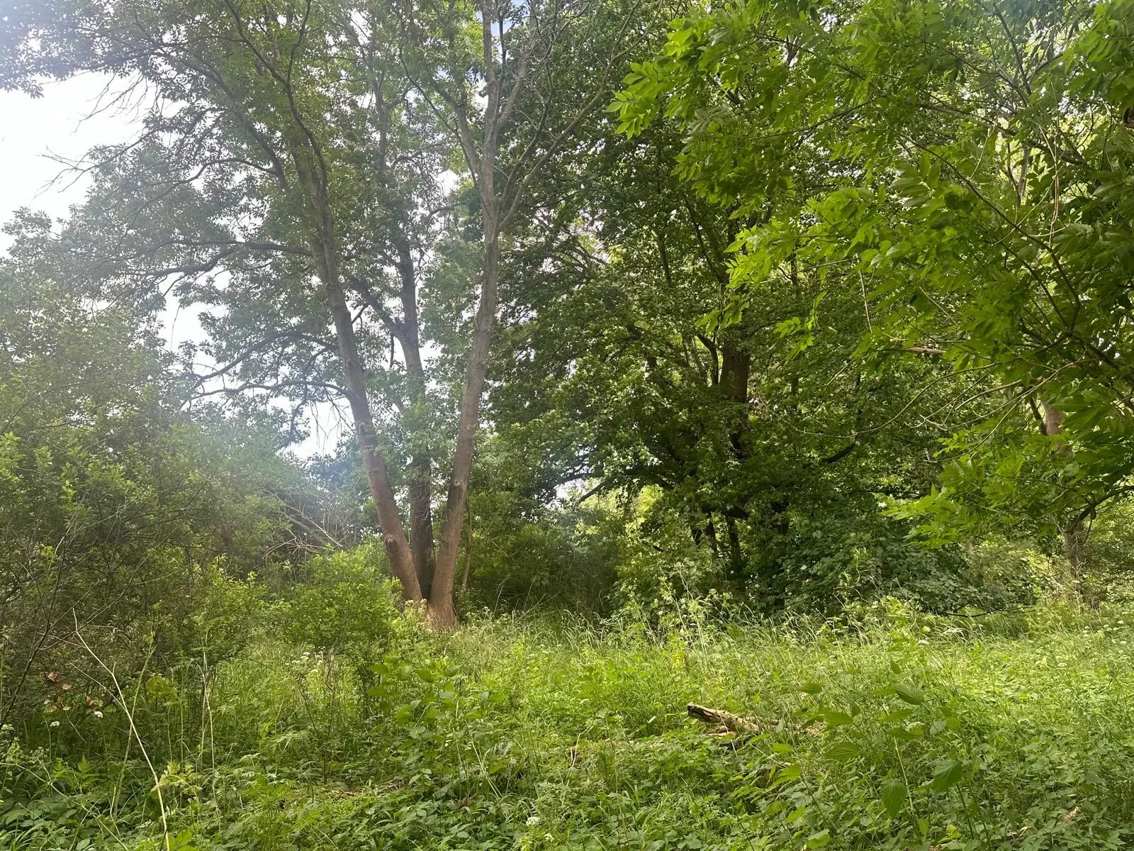 Ruim perceel van 5.550 m2 gelegen aan de rivier Gera - Erfurt OT Molsdorf - Duitsland