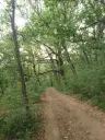 36.009 m² bosgrond nabij Vidbol River in Tsar Shismanovo, Vidin - Bulgarije