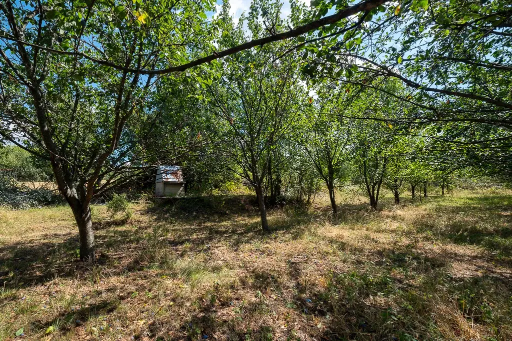 1.490 m² boomgaard met 2 oude huizen en 1 schuur in Podgore, Vidin - Bulgarije