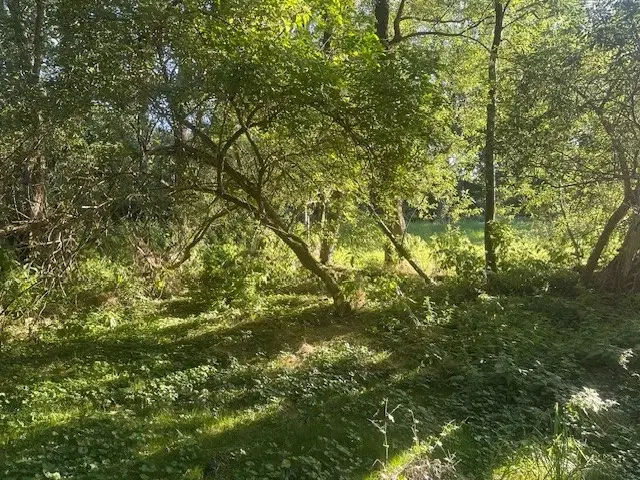 Off-grid perceel 1,2 hectare natuur in Osterfeld - Duitsland