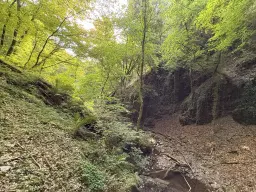 Bosgrond 370 m² in Cochem - Duitsland