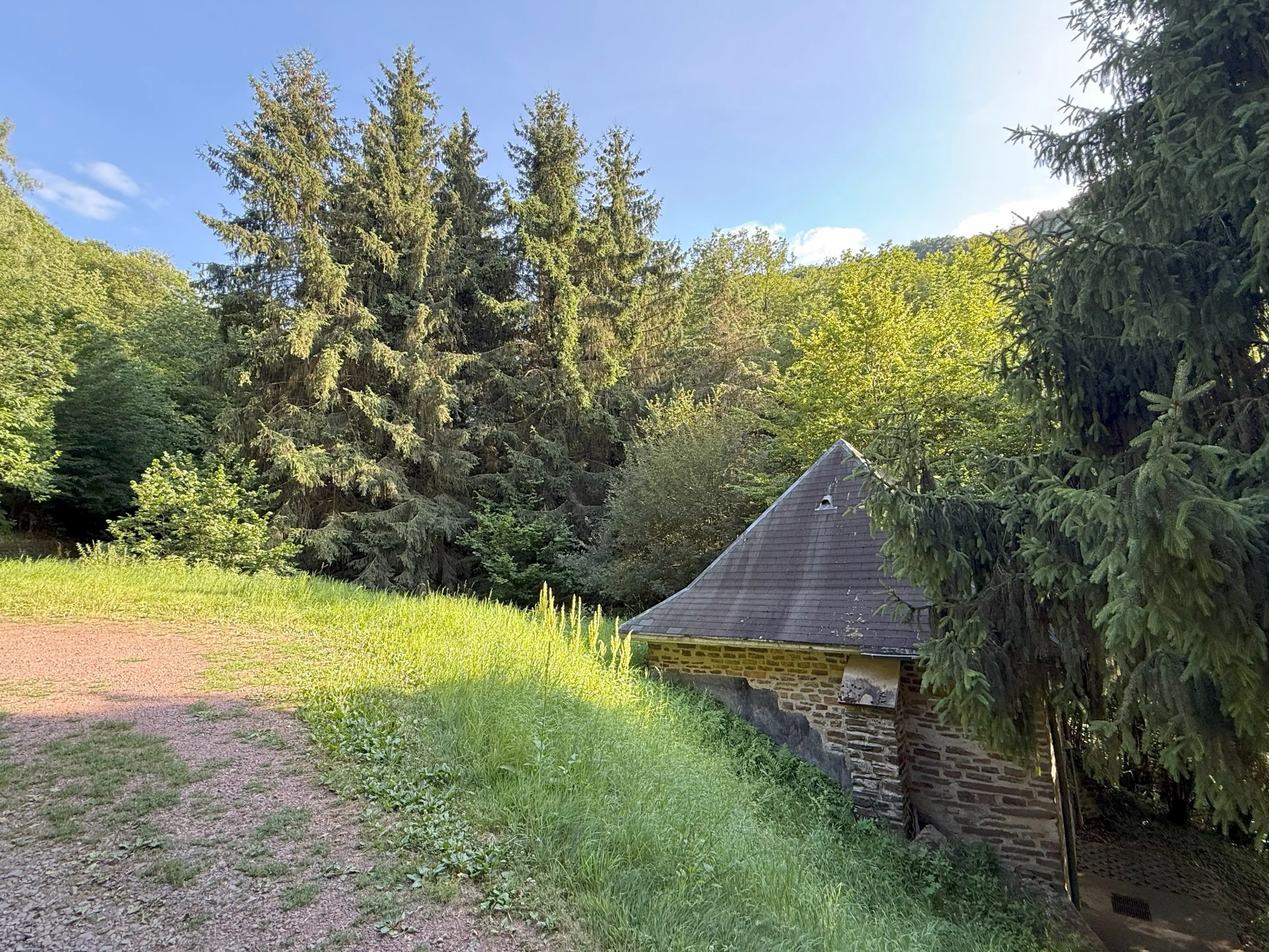 Bosgrond 370 m² in Cochem - Duitsland