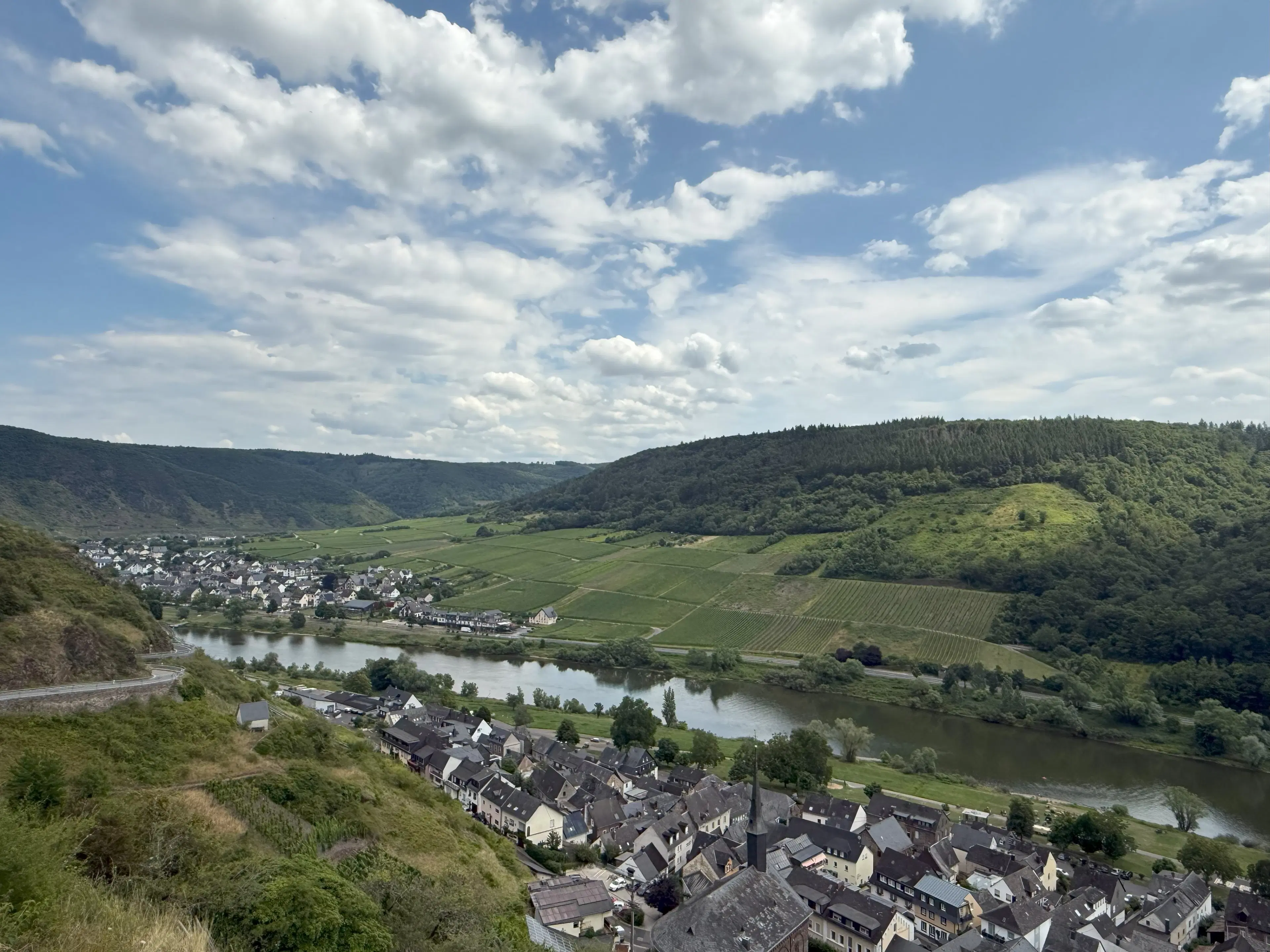 Bosgrond 370 m² in Cochem - Duitsland