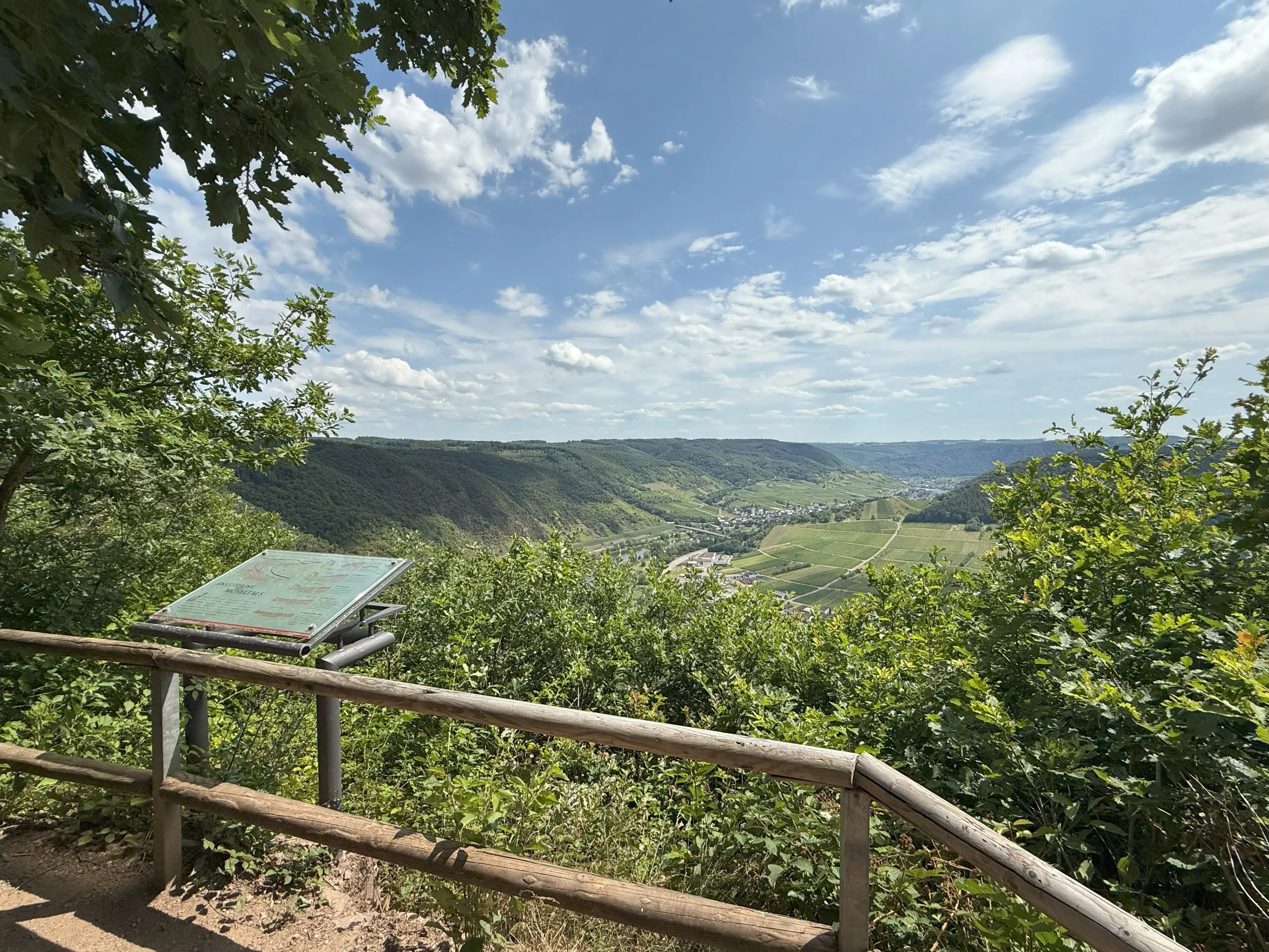 Bosgrond 370 m² in Cochem - Duitsland