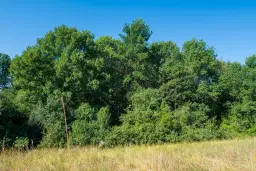 6.100 m² Bosgrond - Kula, Shipikova Mahala - Bulgarije