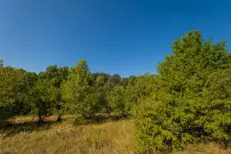 6.100 m² Bosgrond - Kula, Shipikova Mahala - Bulgarije