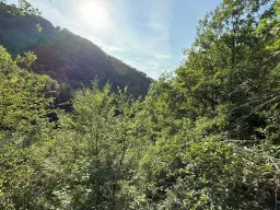 370 m² bosgrond in Cochem - Duitsland