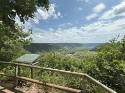 370 m² bosgrond in Cochem - Duitsland