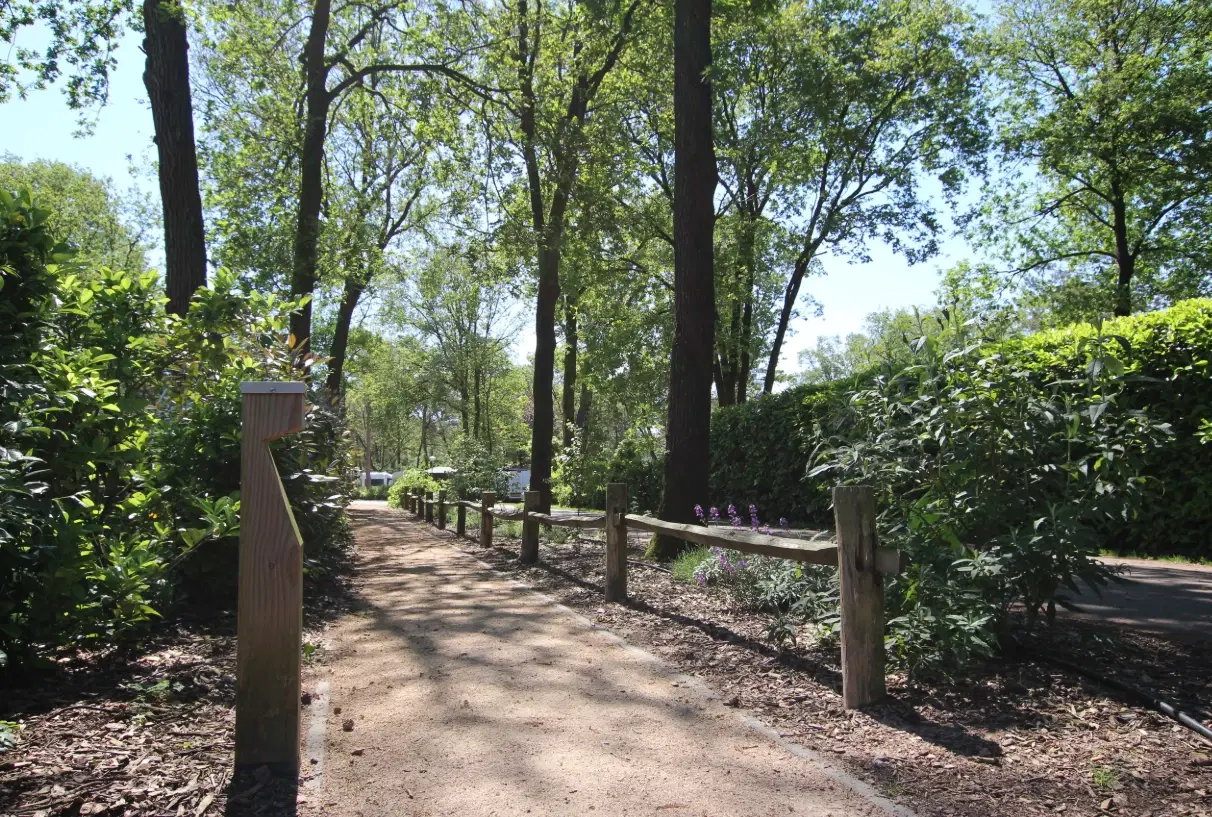 10 percelen grond gelegen op Resort De Heimolen te Baarle-Nassau