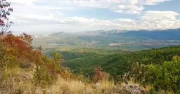 6.513 m² bosgrond in de regio Belogradchik - Bulgarije