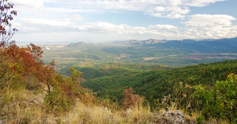 6.513 m² bosgrond in de regio Belogradchik - Bulgarije