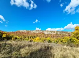 6.513 m² bosgrond in de regio Belogradchik - Bulgarije