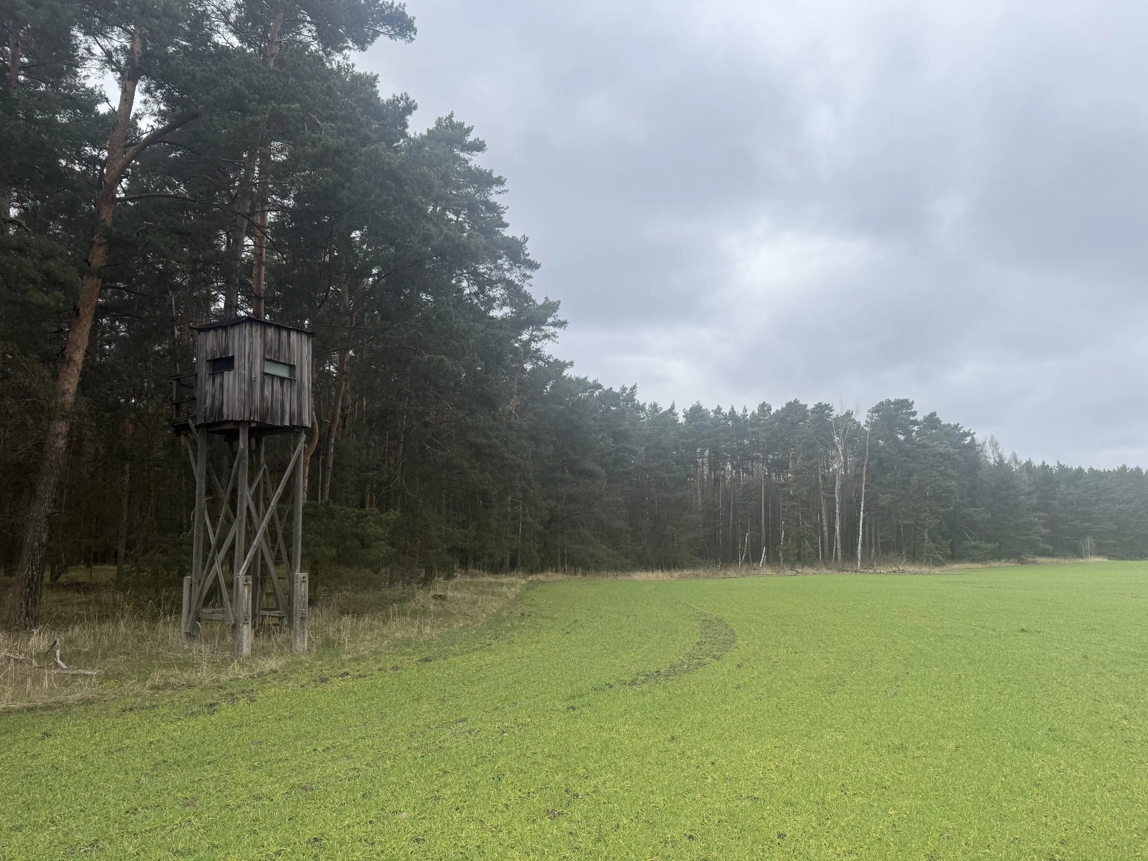 2 Eigendomspercelen van totaal 1.825 m² in Leippe - Duitsland