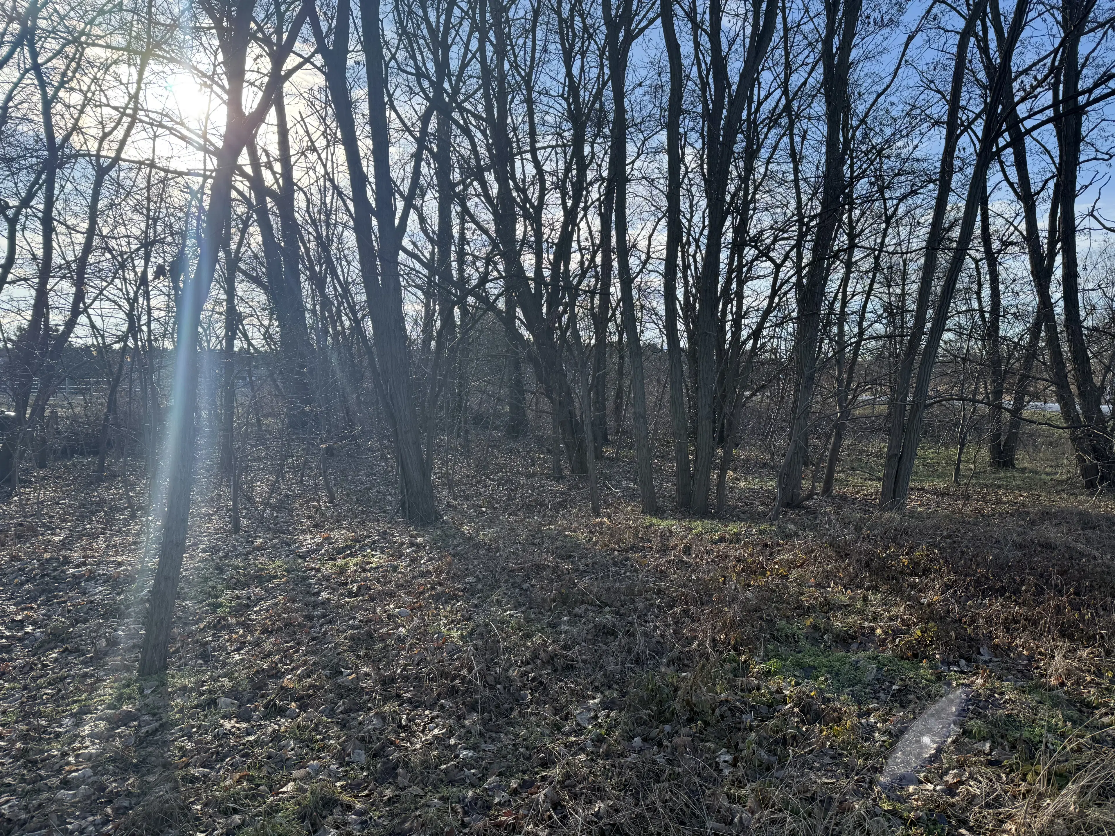 Eigendomsperceel van 616 m² nabij Potsdam - Duitsland