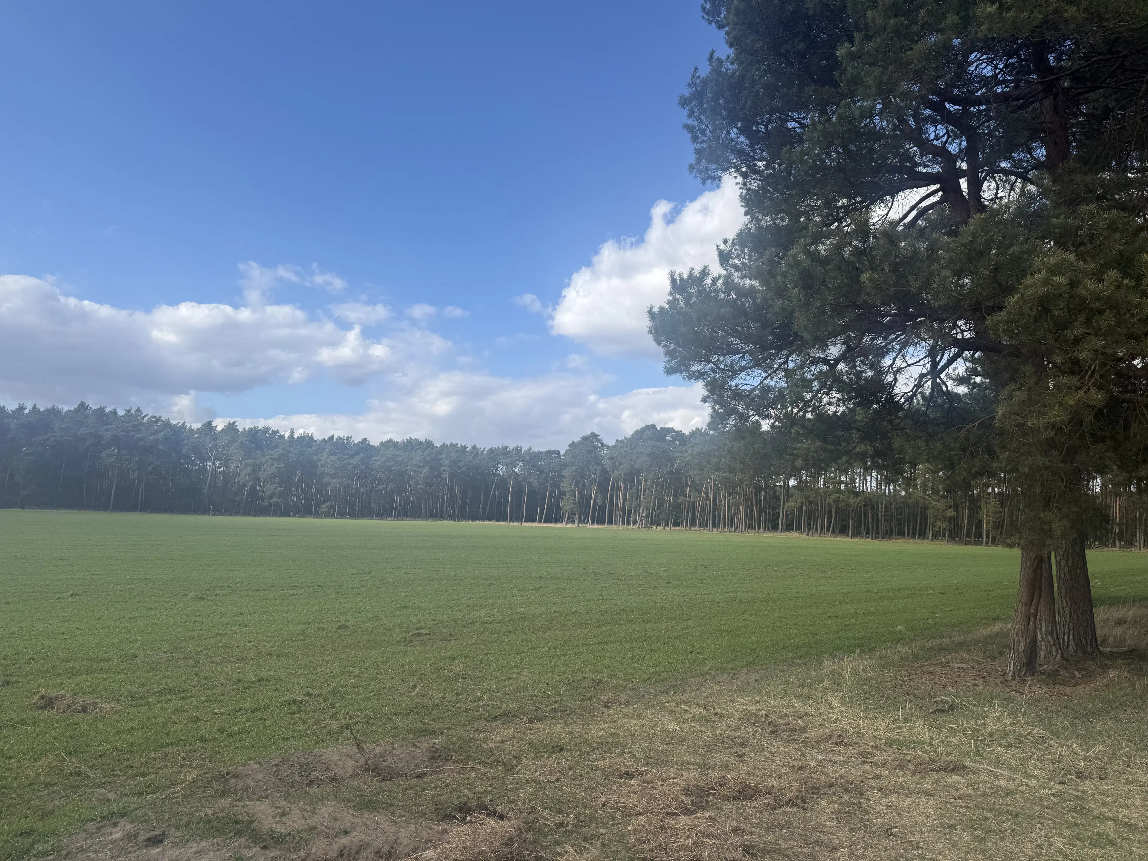 Eigendomsperceel van ca. 3.4 ha in Garlitz, nabij Berlijn - Duitsland