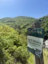 Wijngaard totaal 972 m² met Riesling in Zell, Cochem - Duitsland