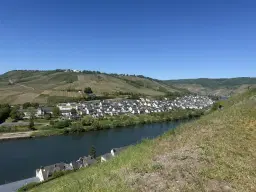 Wijngaard totaal 972 m² met Riesling in Zell, Cochem - Duitsland