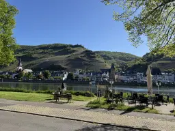 Wijngaard totaal 972 m² met Riesling in Zell, Cochem - Duitsland