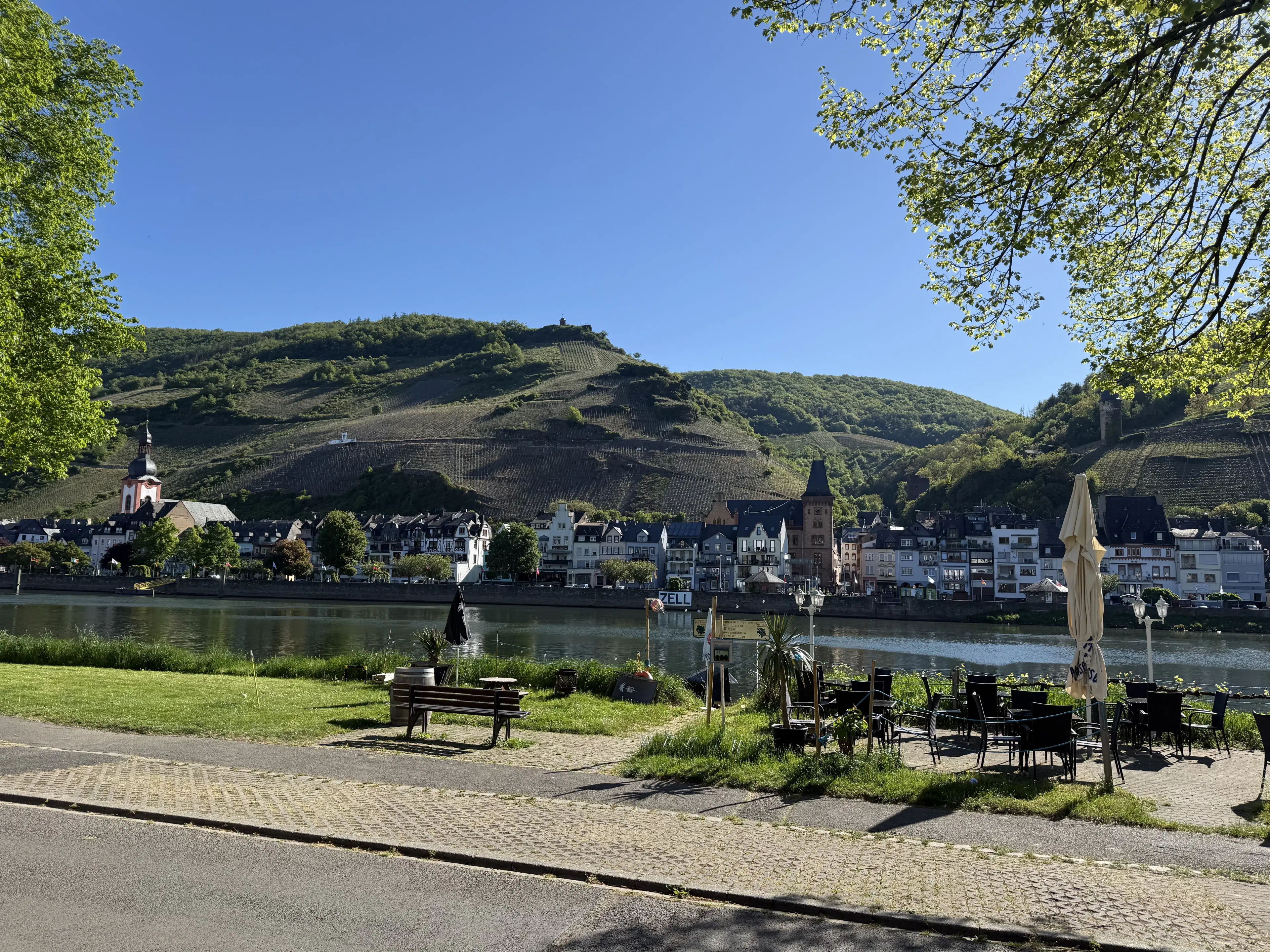 Wijngaard totaal 972 m² met Riesling in Zell, Cochem - Duitsland