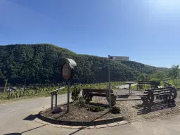 Wijngaard totaal 972 m² met Riesling in Zell, Cochem - Duitsland