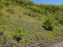 Voormalig wijngaardperceel van 2.958 m² in Zell, Cochem - Duitsland