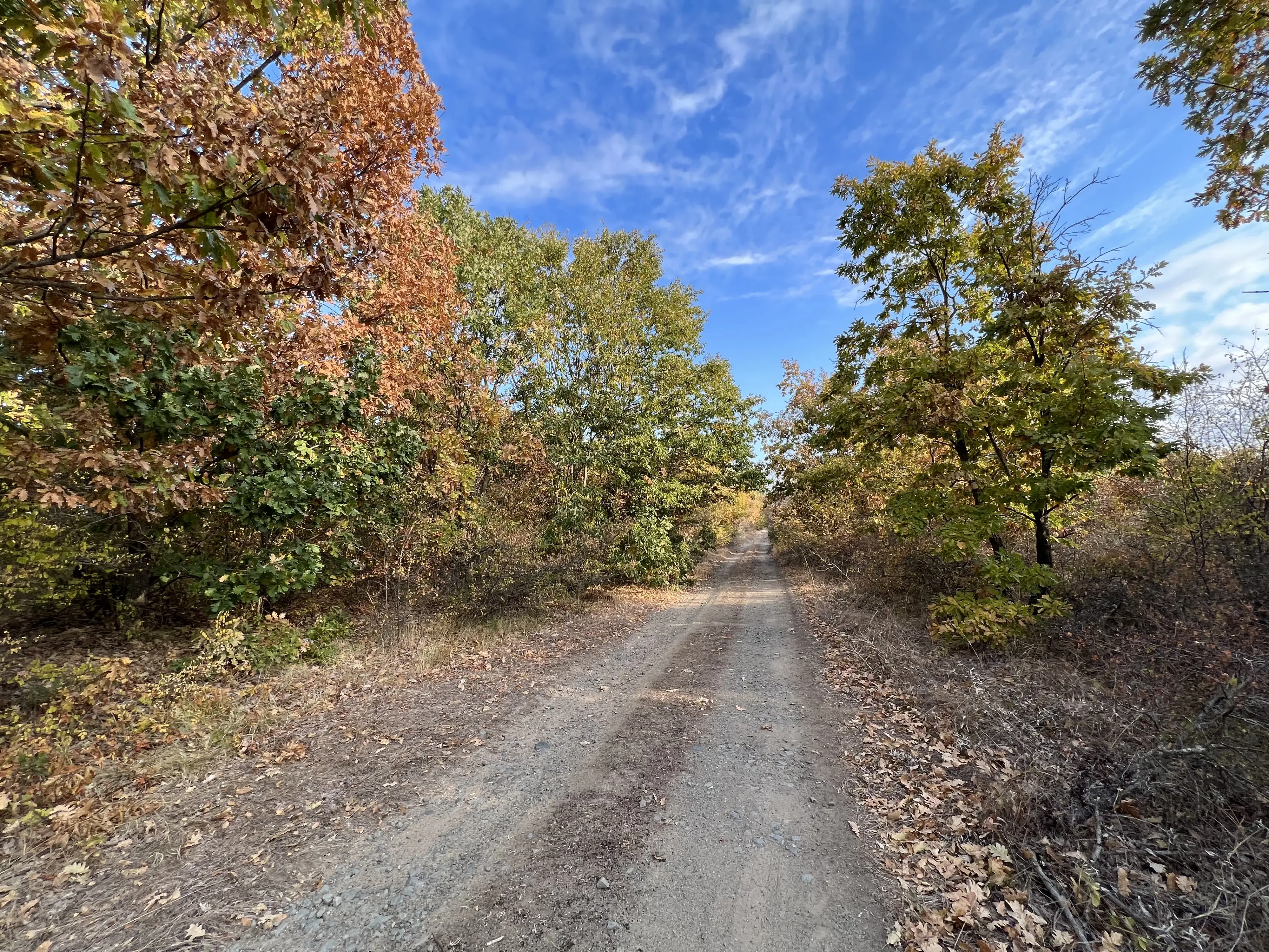 PARTNERVEILING - 19.400 sqm Forest, Burgas (Bulgarije)