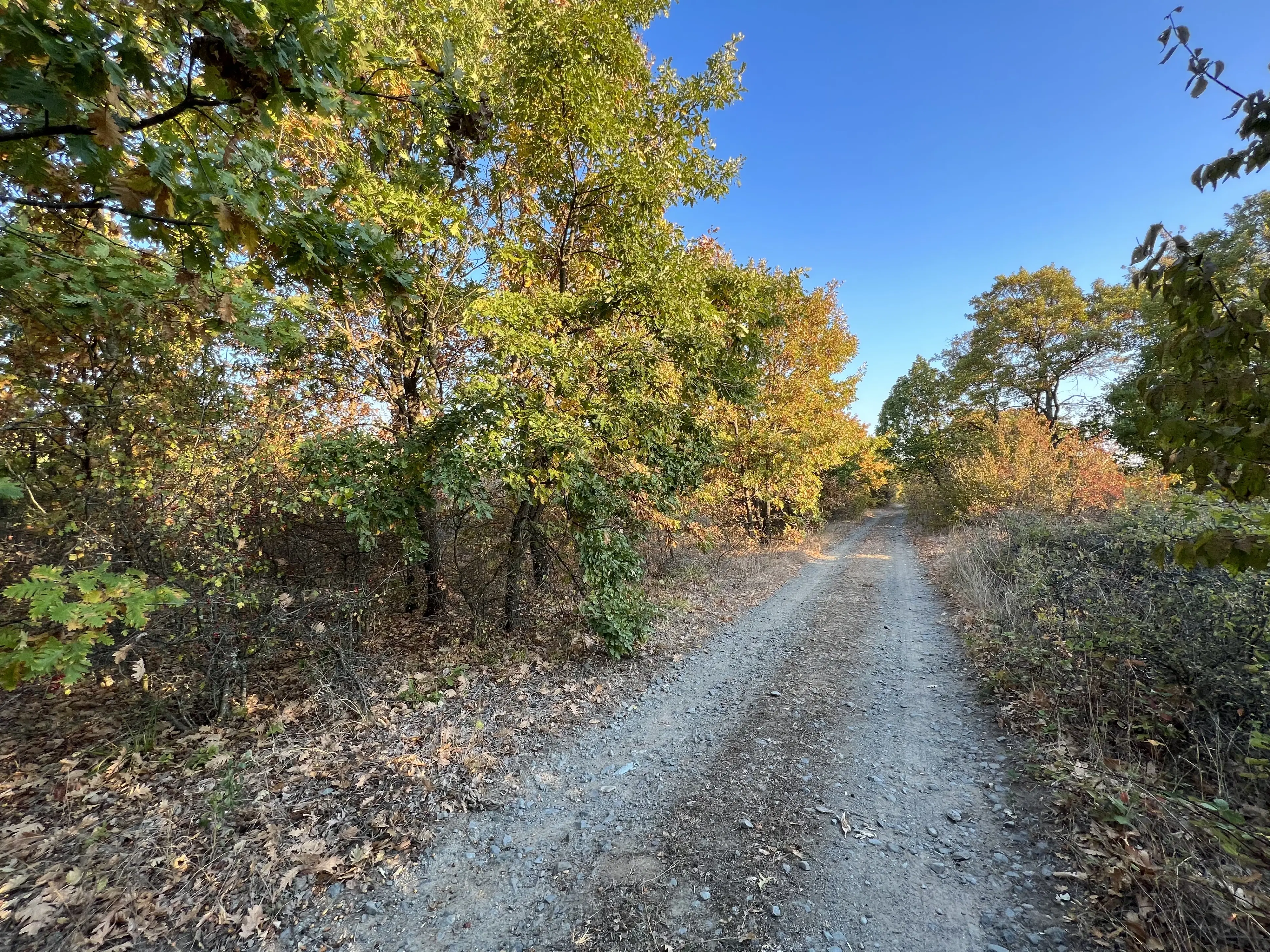 PARTNERVEILING - 19.400 sqm Forest, Burgas (Bulgarije)