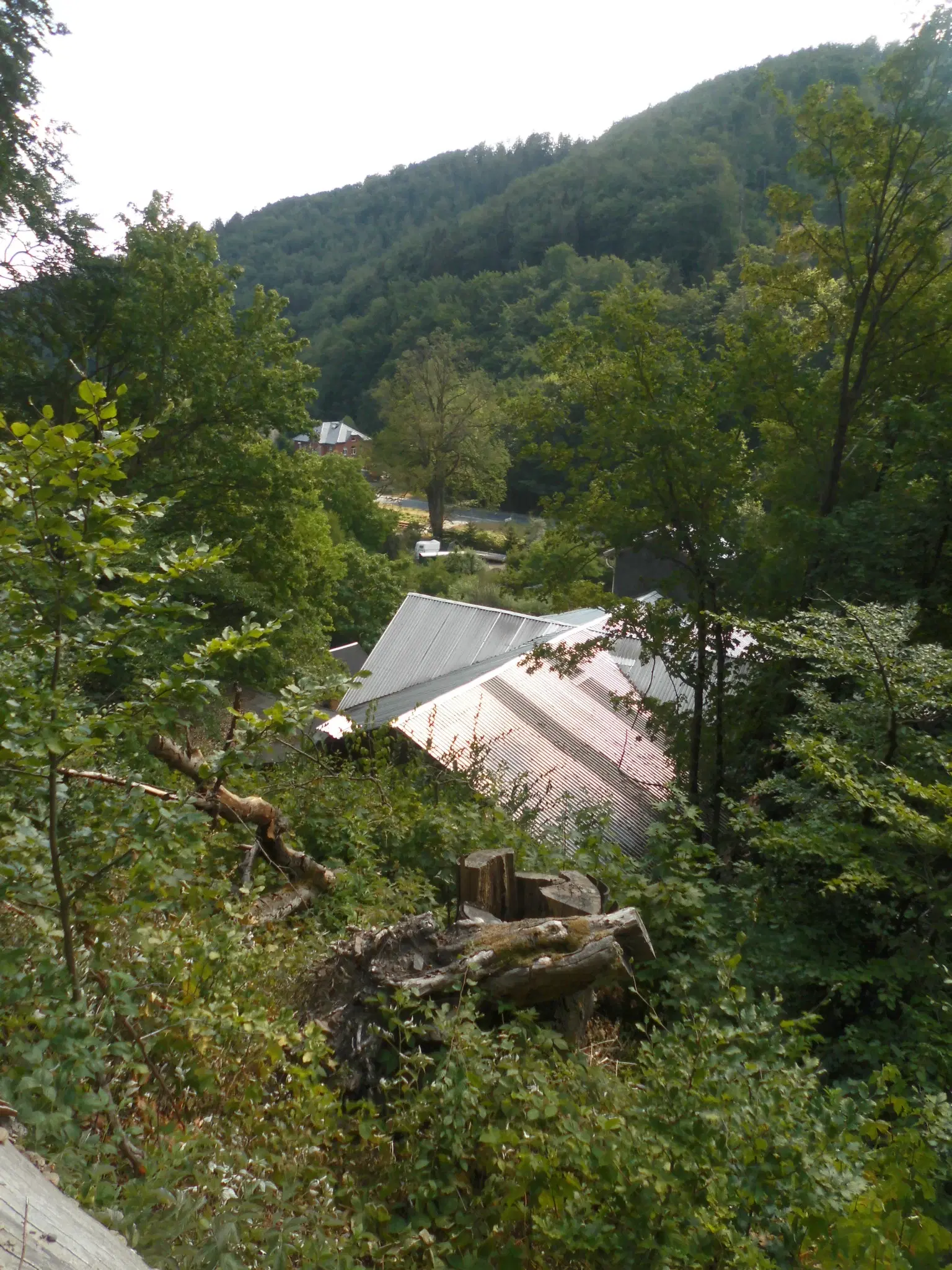 Villa op 1.8 ha perceel, tuin, bos, sauna, bron + bedrijf in Sonneberg - Duitsland