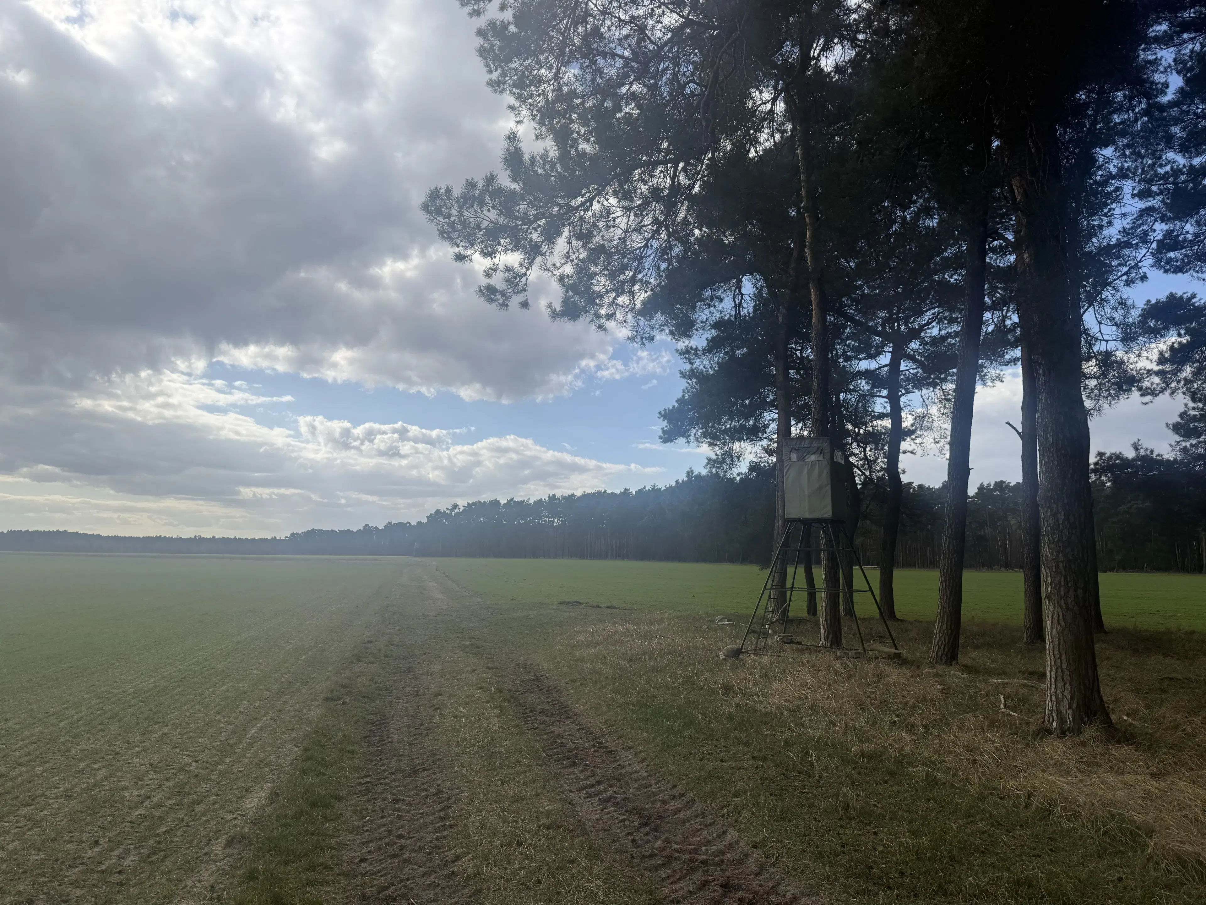 Eigendomsperceel van ca. 3.4 ha in Garlitz, nabij Berlijn - Duitsland